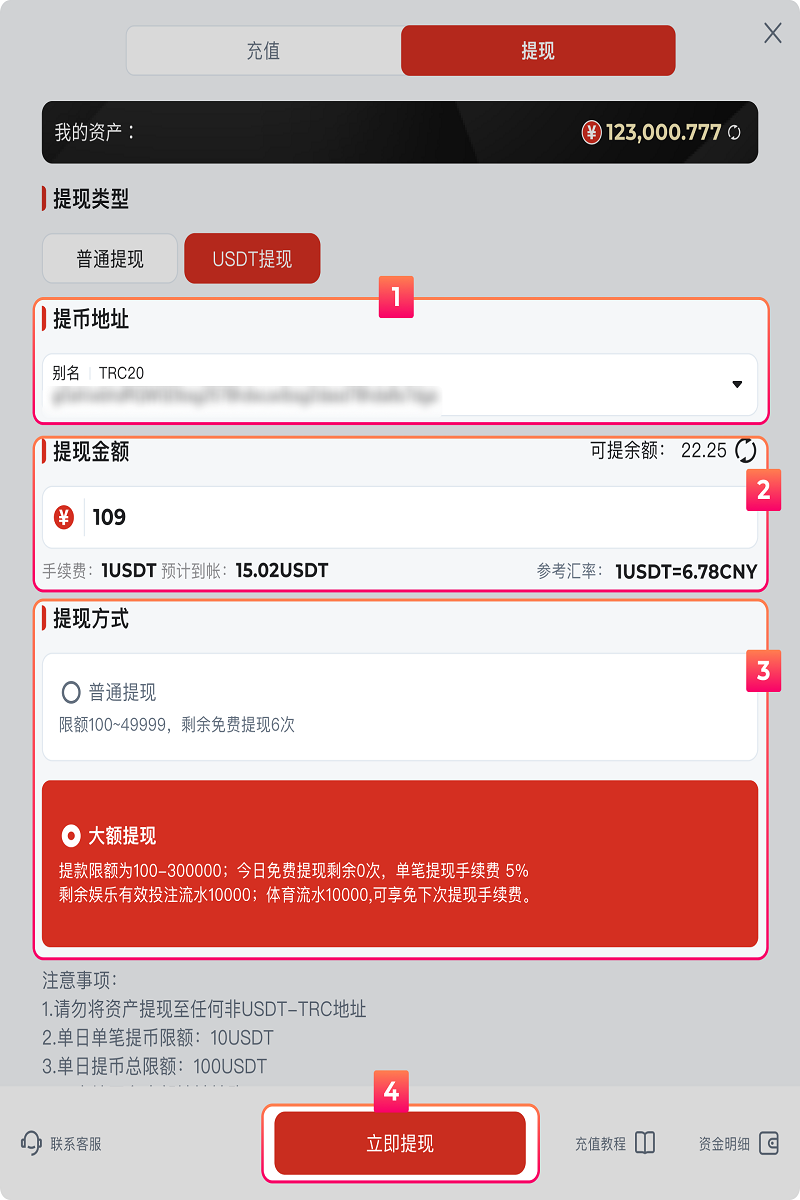 金沙娱乐提款教程 3 USDT提款页面